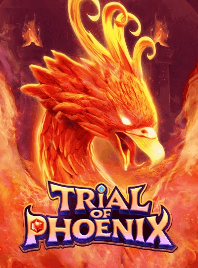 Daily bingo game cover